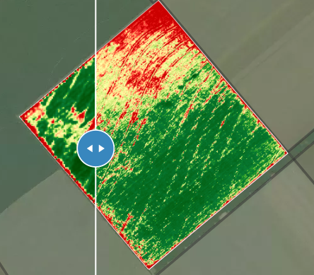  Índice de Vegetação NDRE, define a variabilidade de biomassa e atividade fotossintética para identificação de anomalias (doenças, pragas, estresse nutricional e hídrico). Neste caso comparando a imagem gerada por satélite (Lado A esquerda) e imagem gerada por Drone (Lado B direita).