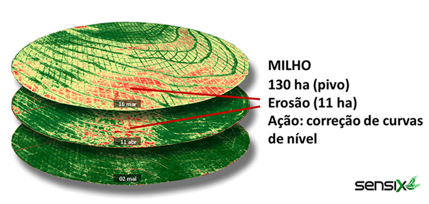 Índices de Vegetação na cultura do milho. entregues por um monitorar lavouras