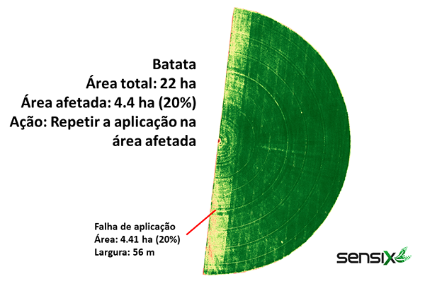 Figura 2 - Índice Vegetação em área de pivô na cultura da batata.