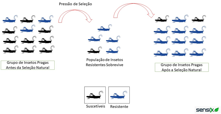 Figura 1 – Demonstração na prática sobre Seleção Natural e Pressão de Seleção.