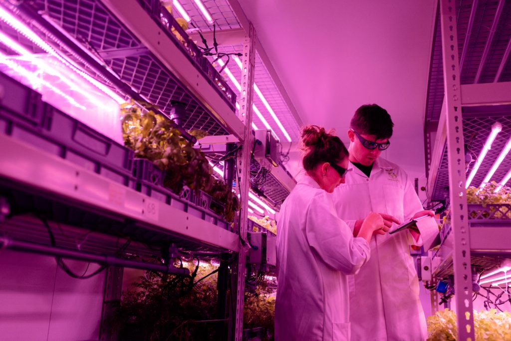 Inteligência Artificial - Ensaio de cultivo de plantas Indor em laboratório sob Luz UV, Fonte: Unsplash