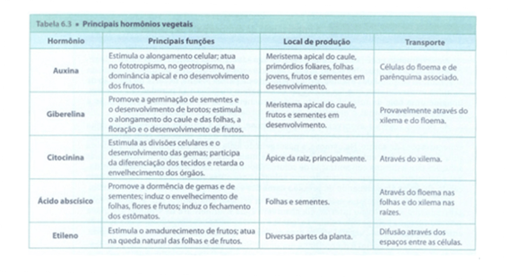 Funções, local de produção e transporte de Hormônios vegetais