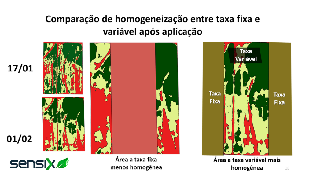 Comparação de homogeneização entre taxa fixa e variável após aplicação.