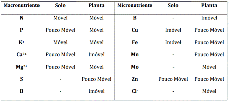 Mobilidade de Macros e Micronutrientes em solo.